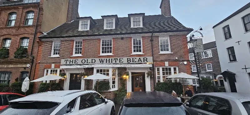 The Old White Bear