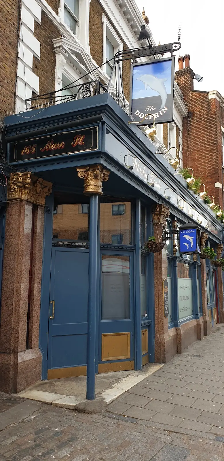 The Dolphin